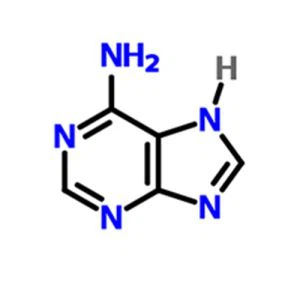 Adenine CAS NO.73-24-5