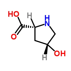 Cis-4-Hidroksi-D-prolin NO. CAS.2584-71-6
