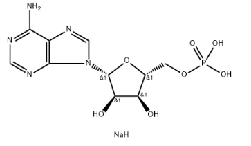 Adenosin 5'-garam Dinatrium monofosfat CAS NO.:4578-31-8